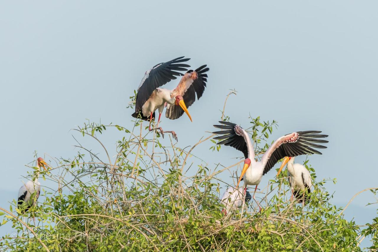 Lake Natron Maasai Giraffe Eco Lodge And Camping Mtowabaga Exteriér fotografie