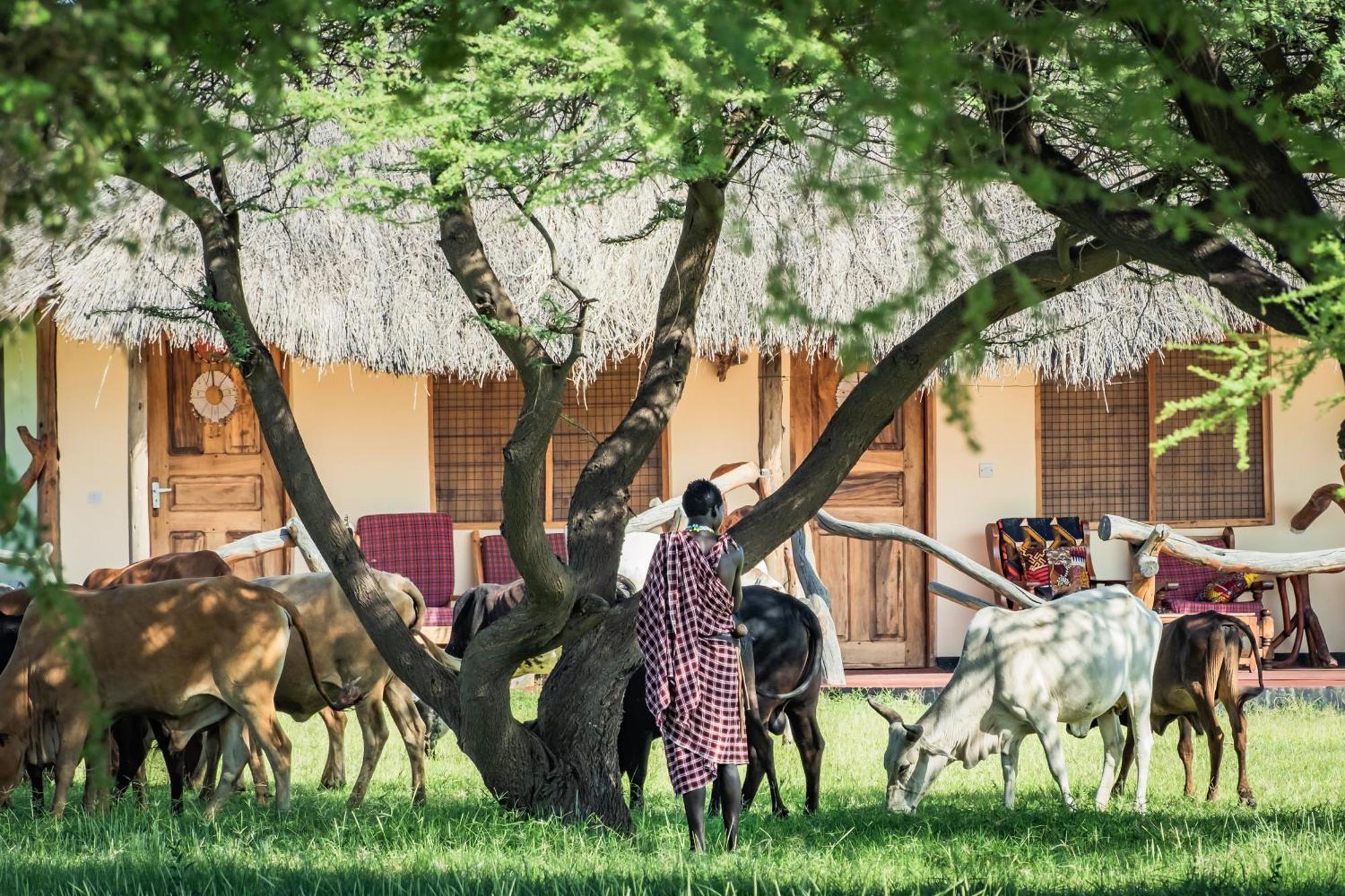 Lake Natron Maasai Giraffe Eco Lodge And Camping Mtowabaga Exteriér fotografie