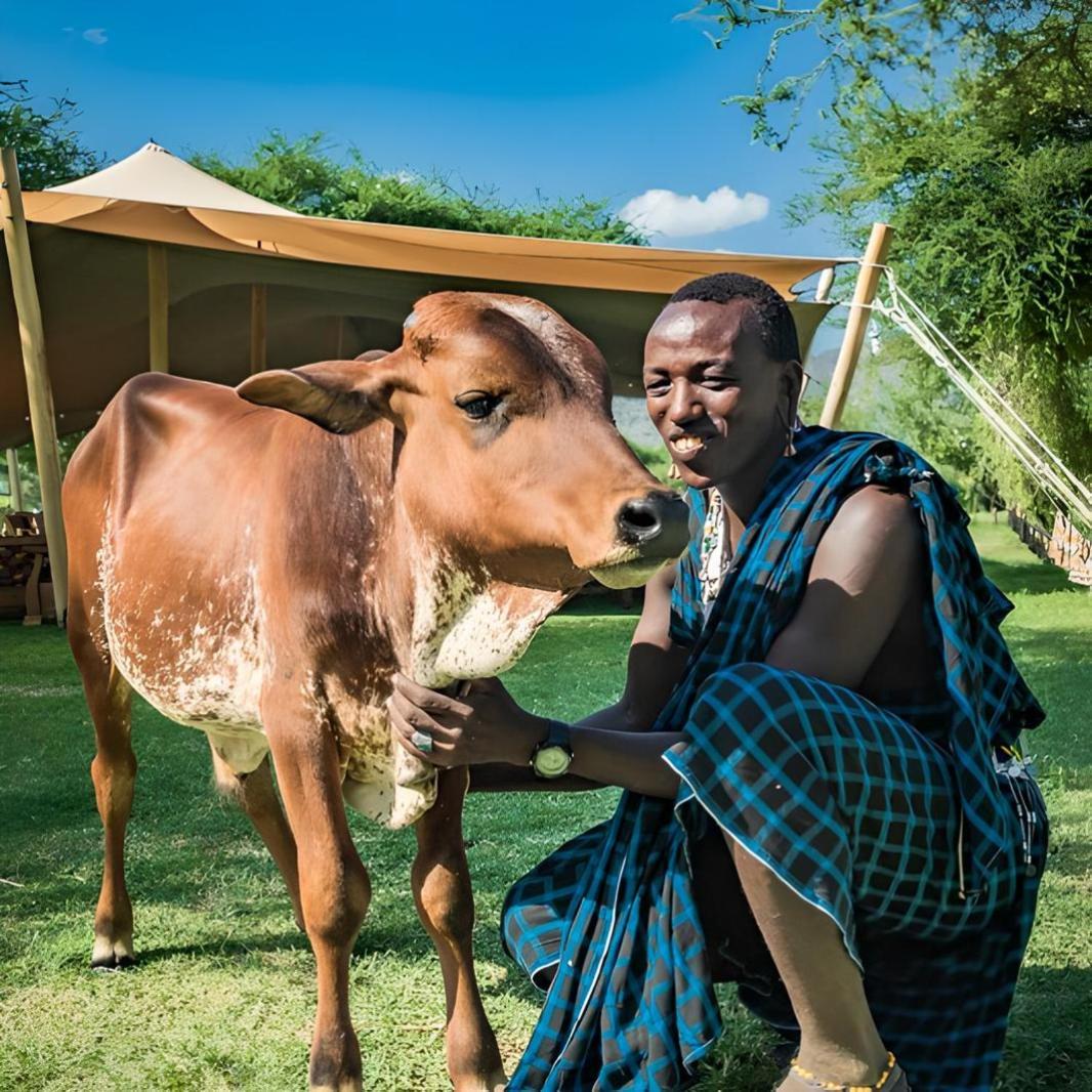 Lake Natron Maasai Giraffe Eco Lodge And Camping Mtowabaga Exteriér fotografie
